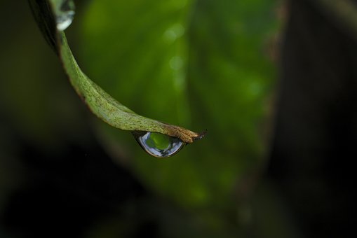 Free Macro Waterdrop photo and picture