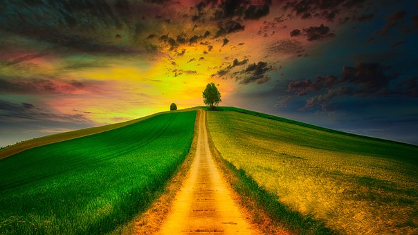 Free Hill Fields photo and picture