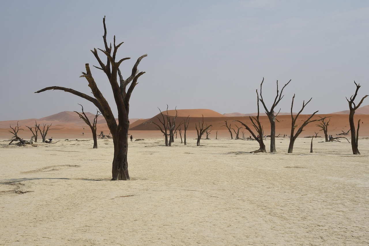 Download free HD stock image of Landscape Desert Free Landscape Desert photo and picture
