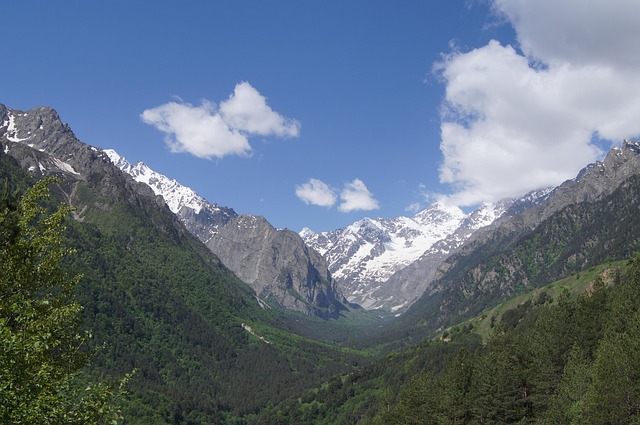 Free Sky The Mountains And Forest photo and picture