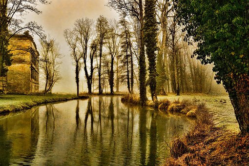 Invierno, Otoño, Naturaleza, Parque