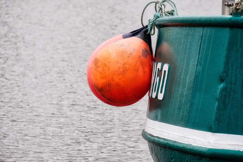 Master the Waters: Top Fishing Strategies for Every Angler