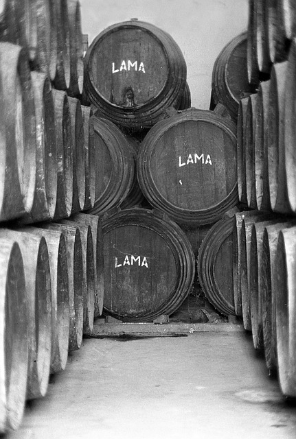 Free Winery Barrel photo and picture