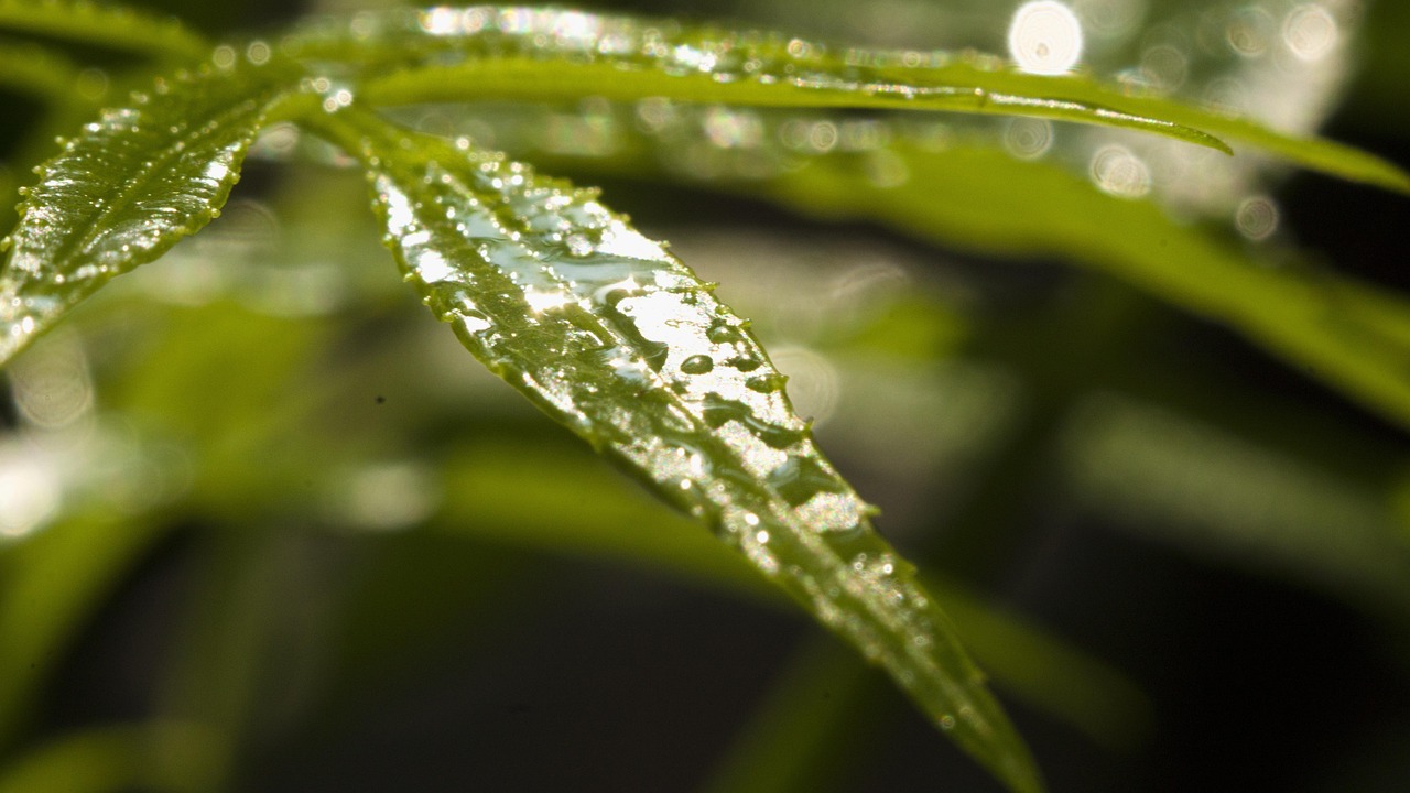 Water - free online jigsaw puzzle photo