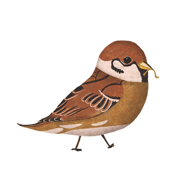 Free sparrow bird animal illustration