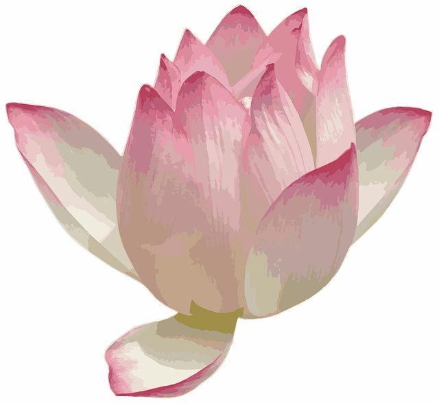 Free image cutout nature illustration