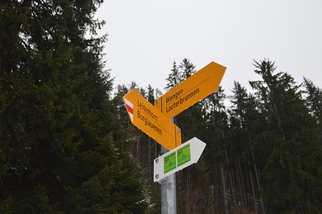 Free Sign Walking photo and picture