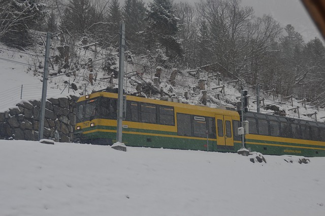 Free Wab Wengen photo and picture