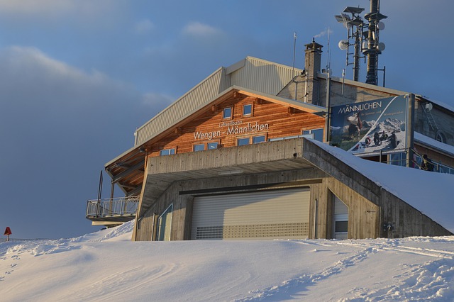 Free Ariel Ropeway Cable Car photo and picture