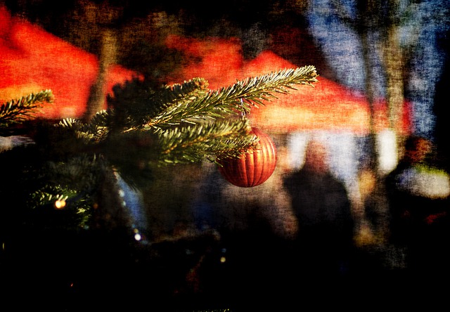 Free Christmas Christmas Tree photo and picture