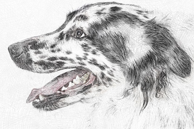 Free animal mammal dog illustration