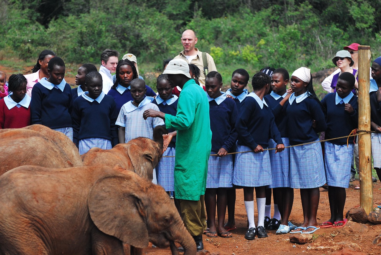 30+ Free Ngo & Volunteer Images - Pixabay