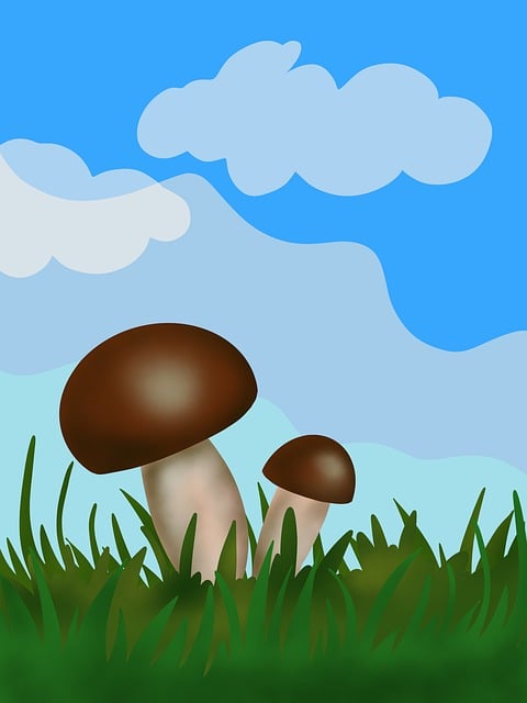 Free mushroom grass sky illustration