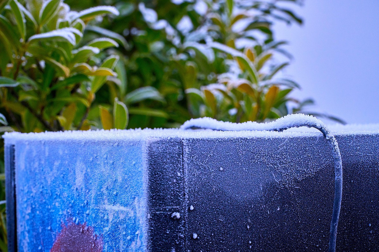 10+ Free Frigorífico & Refrigerator Photos Pixabay