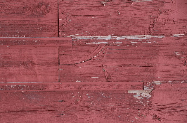 Free Texture Wood photo and picture