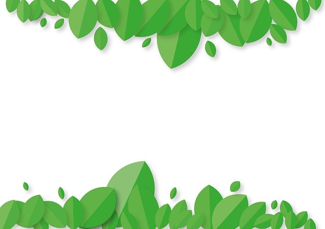 Free leaves background bio illustration