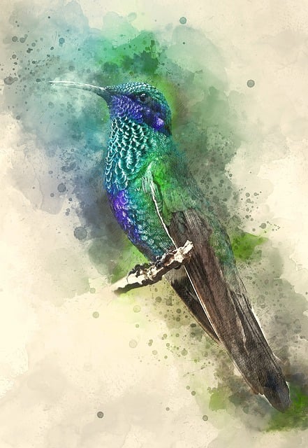Free watercolor painting bird illustration