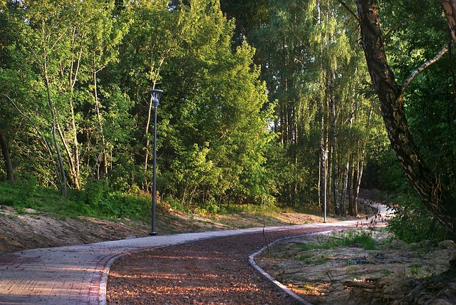 Free Author Skibka photo and picture