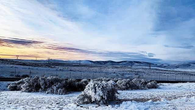 Free Winter Snow photo and picture