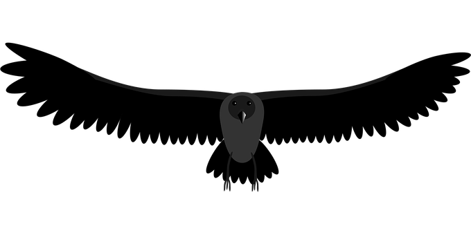 Free Crow Bird vector and picture