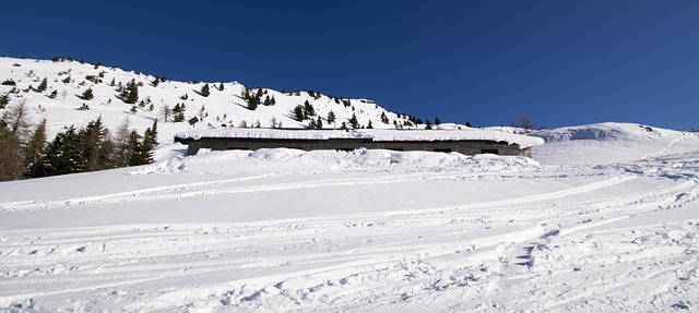 Free Winter House photo and picture