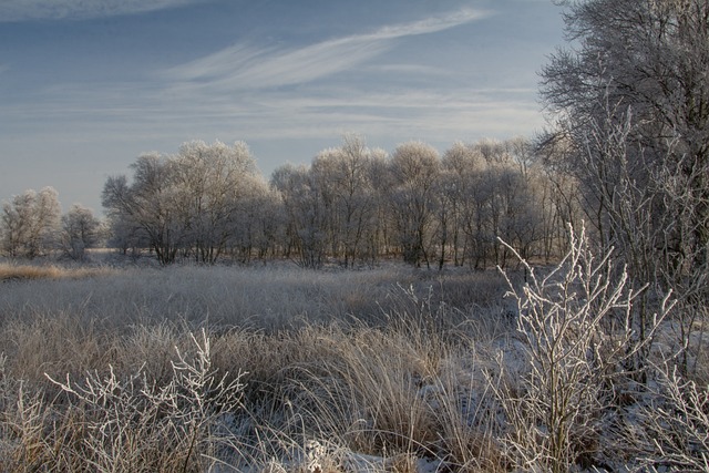 Free Ostfriesland Eternal Sea In The Winter photo and picture