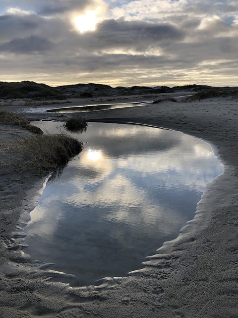 Free North Sea Beach photo and picture