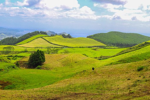 Free Island Azores photo and picture