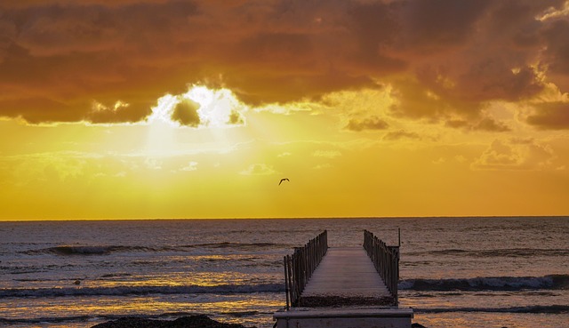 Free Sun Sea photo and picture