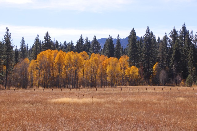 Free Autumn Nature photo and picture