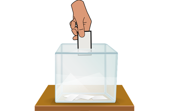 Free voting ballot vote illustration