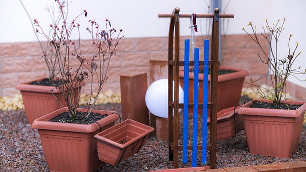 Free Sled Winter photo and picture