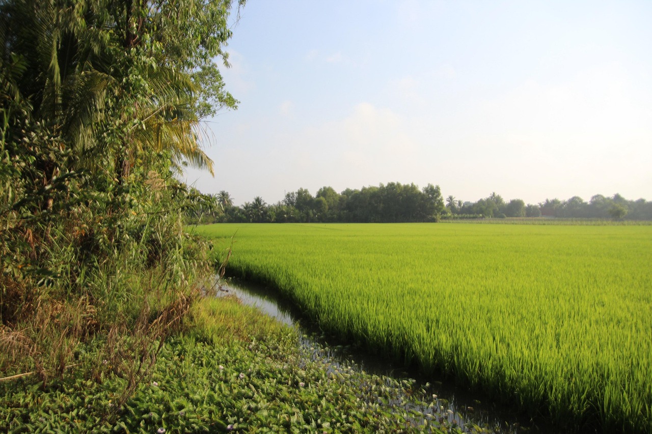 Asia - free online jigsaw puzzle photo
