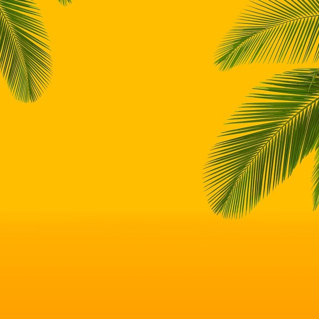 Sommer, Palme, Strand, Tropischer