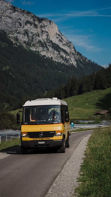 Bus, Trafik, Landevej, Transportere