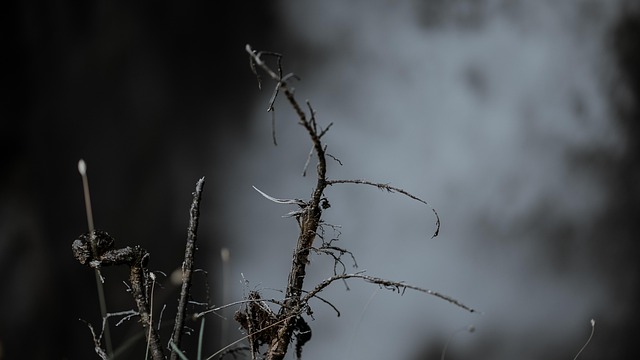 Landskab, Afdeling, Natur, Vandfald