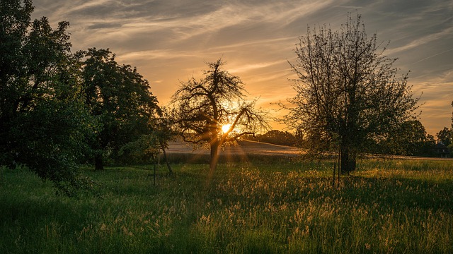 Natur, Landskab, Solnedgang, Meget Smuk