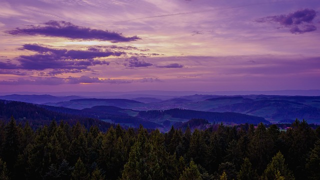 Panorama, Skov, Solnedgang, Himmel
