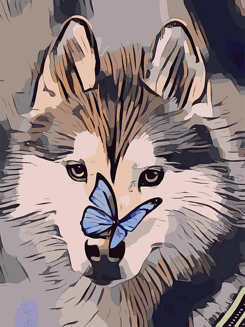 Free butterfly husky dog illustration