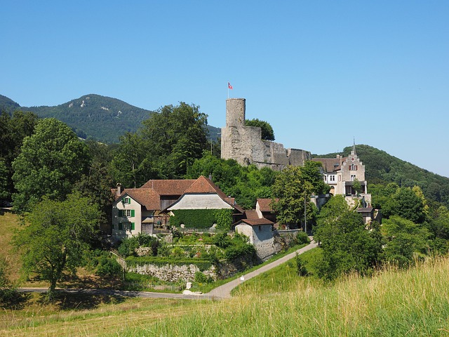 Free The Castle Of Gdp Castle photo and picture