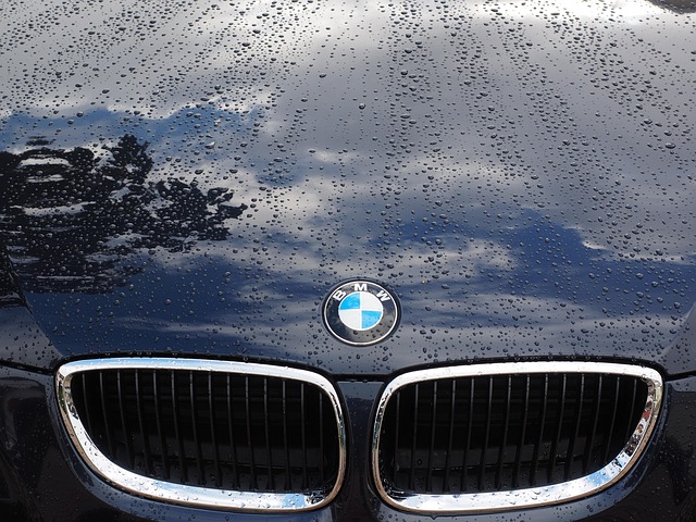 Free Automobile Paint photo and picture