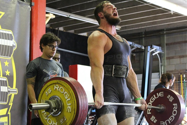 sports, sport, powerlifting, exercise, training, strong, competition, fitness, gym, powerlifting, powerlifting, powerlifting, powerlifting, powerlifting