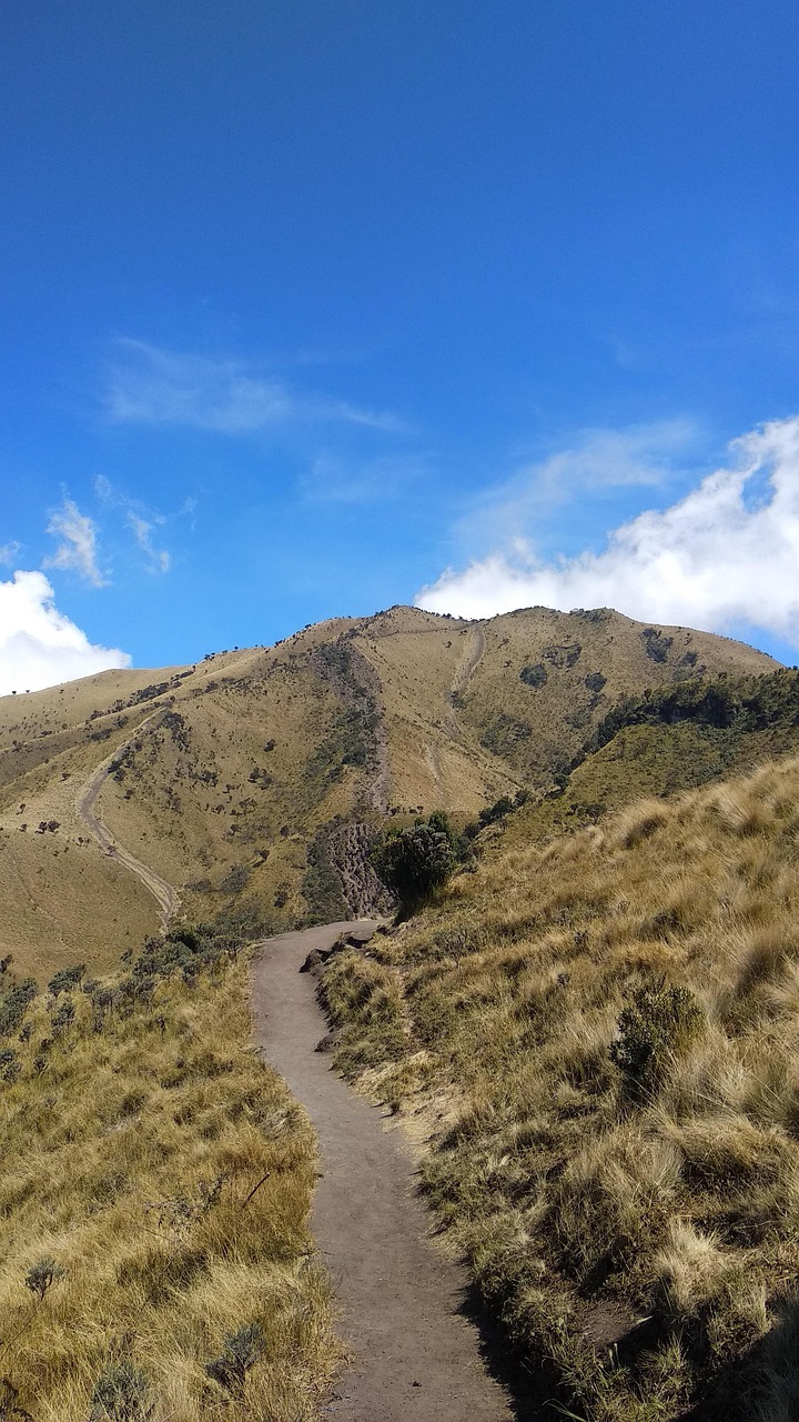100.000+ Gambar Gunung Merbabu & Gunung Gratis - Pixabay