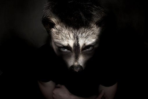 70以上の無料狼男 狼画像 Pixabay