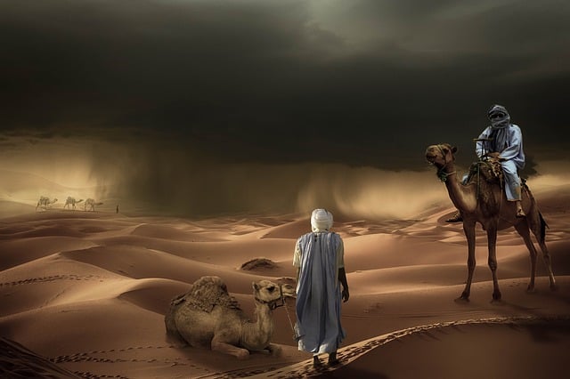 Free fantasy desert camels illustration
