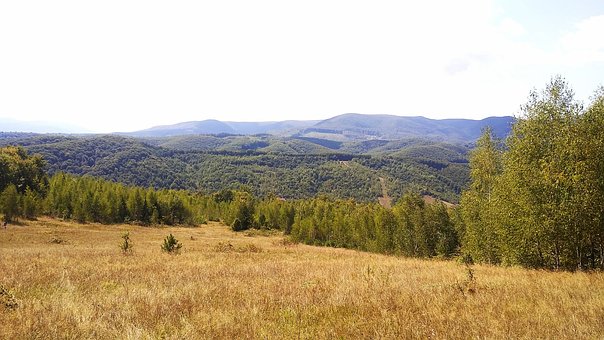 Free Lhiking Meadow photo and picture