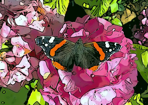Sommerfugl, Blomst, Insekt, Natur, Par
