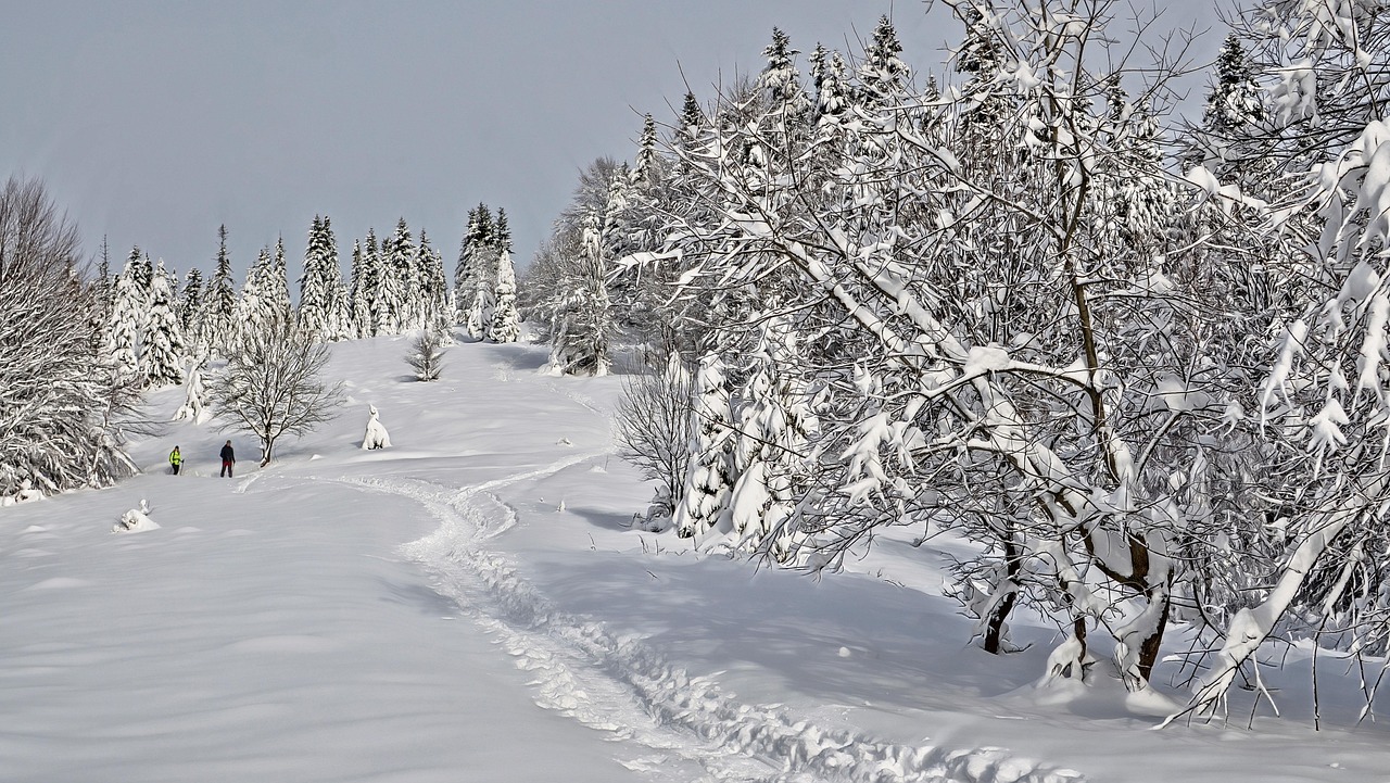 Winter - free online jigsaw puzzle photo
