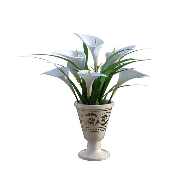 Blomster, Buket, Hvid, Liljer, Blomstre