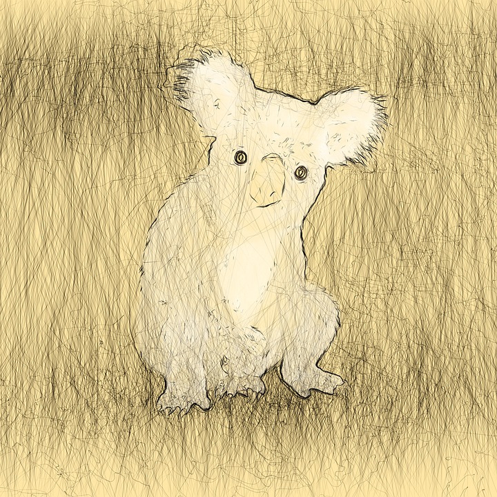 Koala Ilustrasi Hewan Gambar Gratis Di Pixabay